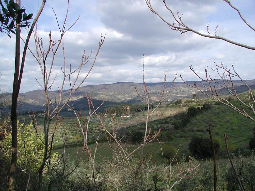 潘札诺Agriturismo Podere La Casa公寓 外观 照片